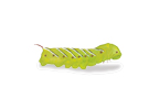 Caterpillar