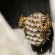 wasp nest removal ireland