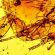 Rentokil Flea Treatment
