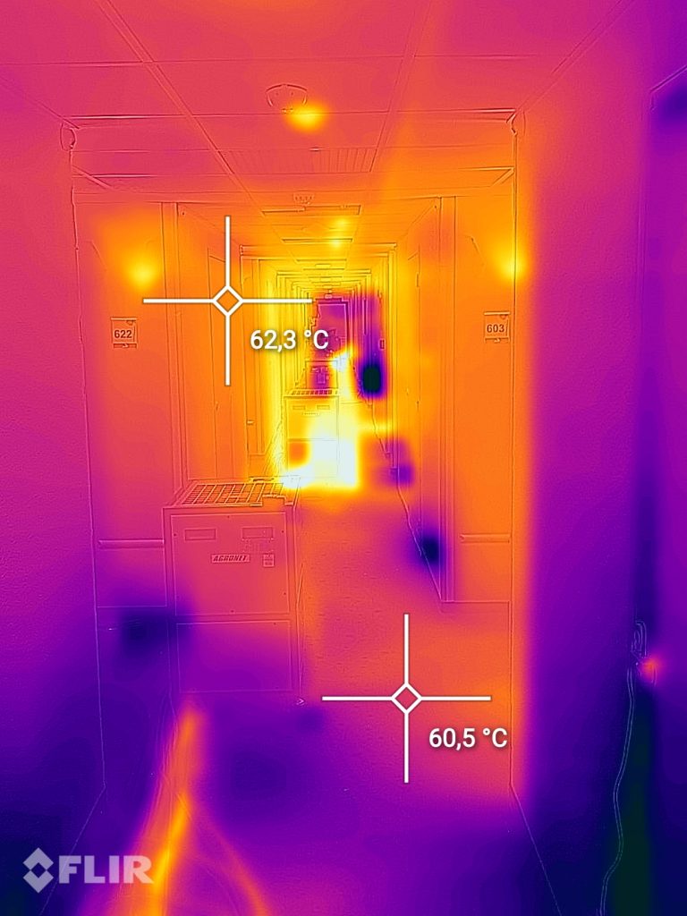 Rentokil bed bug heat treatment